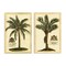 Stupell Industries Vintage Historical Palms 2pc Canvas Set, design by Vision Studio